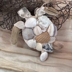 Shell Ornament ~ Turtle