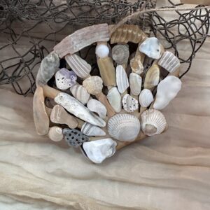 Shell Ornament ~ Scallop Shell